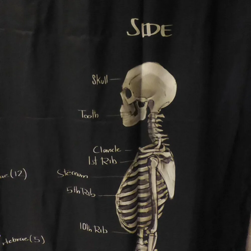 NEW GOTHIC HALLOWEEN SKELETON MEDICAL ANATOMY ILLUSTRATION SHOWER CURTAIN ODDITY